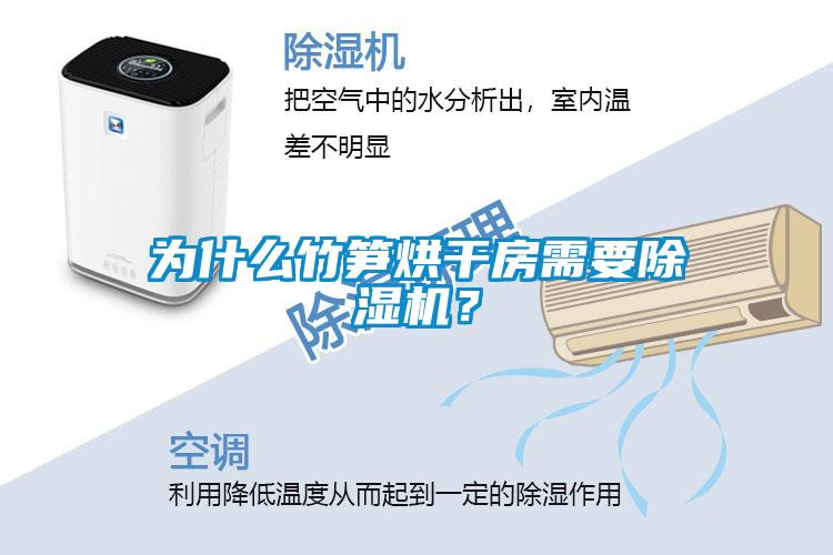 為什么竹筍烘干房需要除濕機(jī)？
