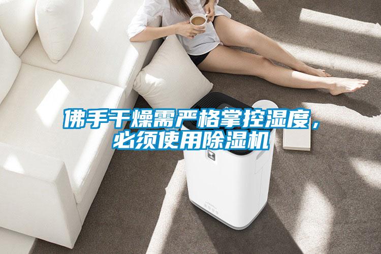佛手干燥需嚴(yán)格掌控濕度，必須使用除濕機(jī)