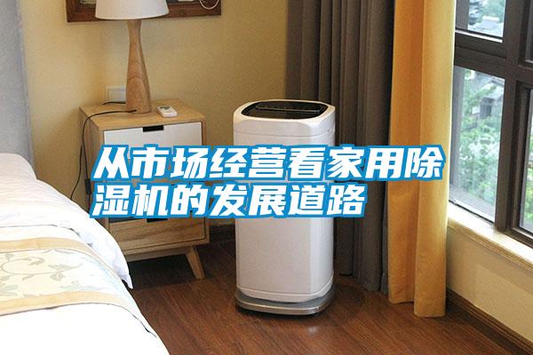 從市場(chǎng)經(jīng)營看家用除濕機(jī)的發(fā)展道路