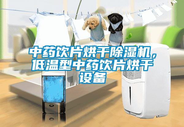 中藥飲片烘干除濕機，低溫型中藥飲片烘干設(shè)備