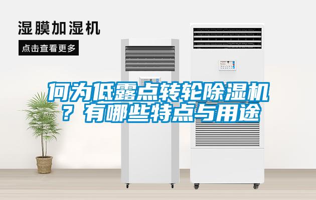 何為低露點轉(zhuǎn)輪除濕機？有哪些特點與用途