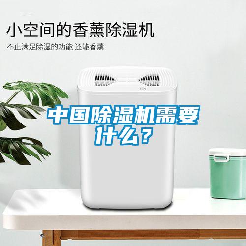 中國除濕機需要什么？