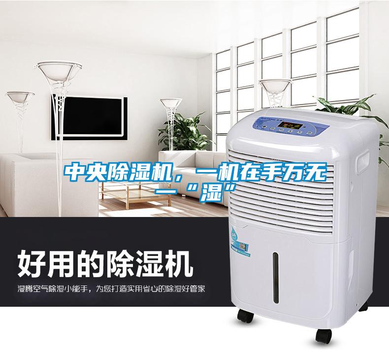 中央除濕機，一機在手萬無一“濕”