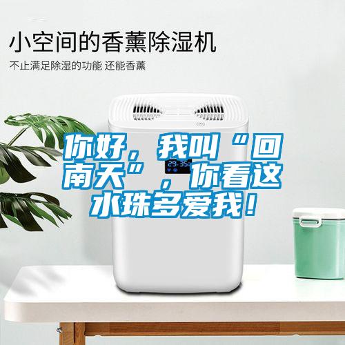 你好，我叫“回南天”，你看這水珠多愛我！