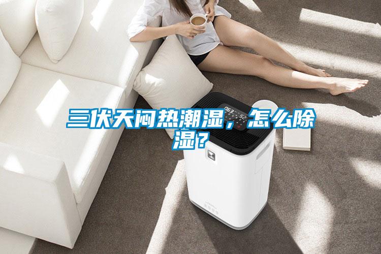 三伏天悶熱潮濕，怎么除濕？