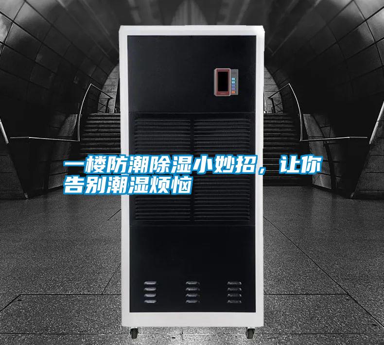 一樓防潮除濕小妙招，讓你告別潮濕煩惱