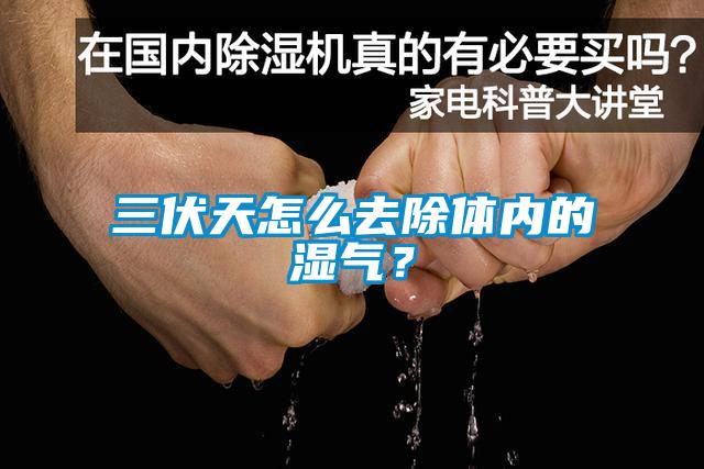 三伏天怎么去除體內(nèi)的濕氣？