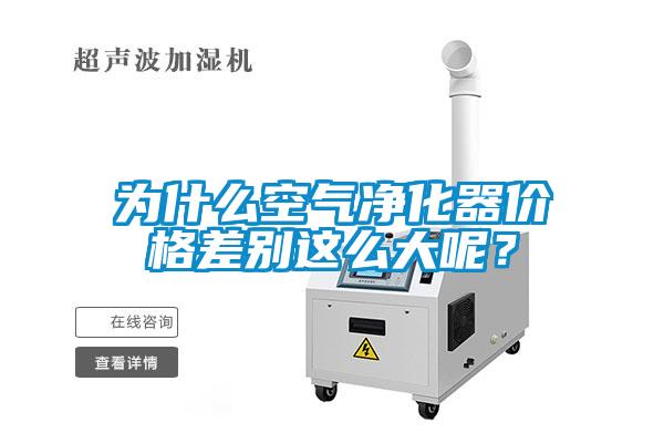 為什么空氣凈化器價(jià)格差別這么大呢？