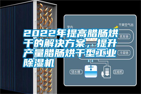 2022年提高臘腸烘干的解決方案，提升產(chǎn)量臘腸烘干型工業(yè)除濕機
