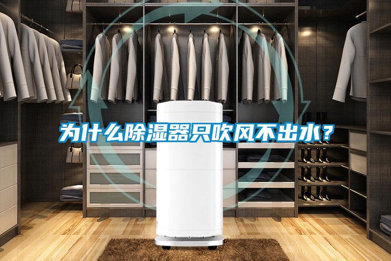 為什么除濕器只吹風(fēng)不出水？