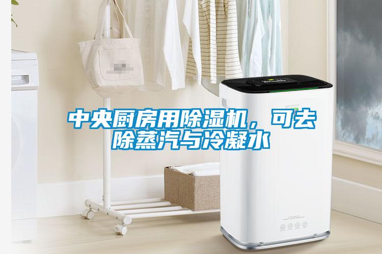 中央廚房用除濕機，可去除蒸汽與冷凝水