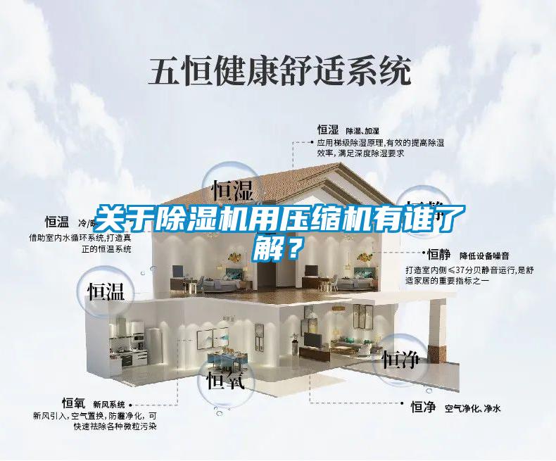 關(guān)于除濕機用壓縮機有誰了解？
