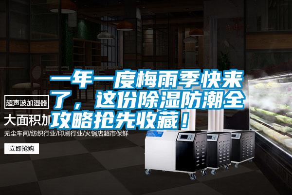 一年一度梅雨季快來了，這份除濕防潮全攻略搶先收藏！