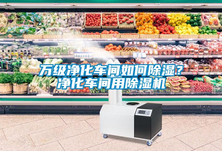 萬級凈化車間如何除濕？凈化車間用除濕機(jī)