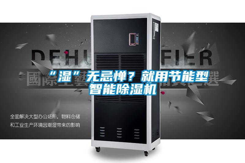 “濕”無忌憚？就用節(jié)能型智能除濕機