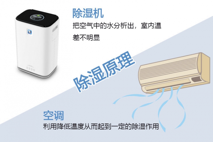 使用除濕機對于哮喘有什么幫助？