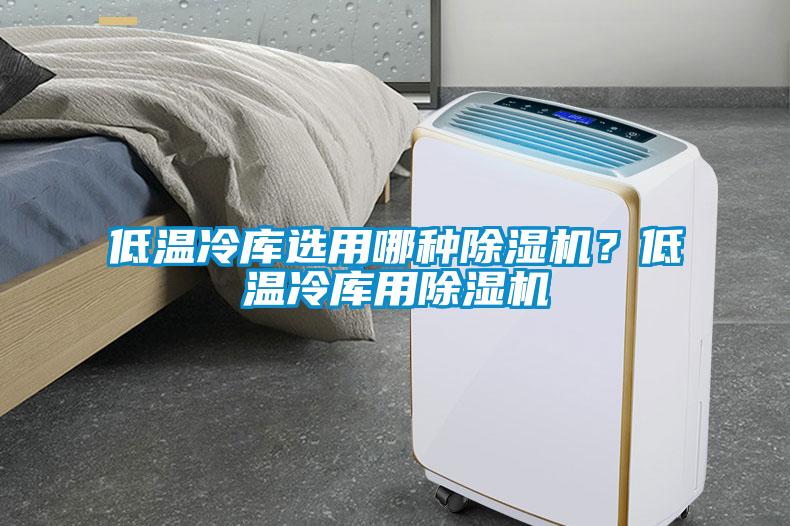 低溫冷庫選用哪種除濕機(jī)？低溫冷庫用除濕機(jī)