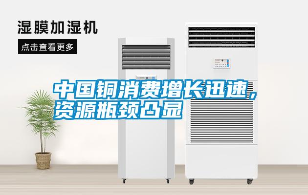 中國(guó)銅消費(fèi)增長(zhǎng)迅速，資源瓶頸凸顯