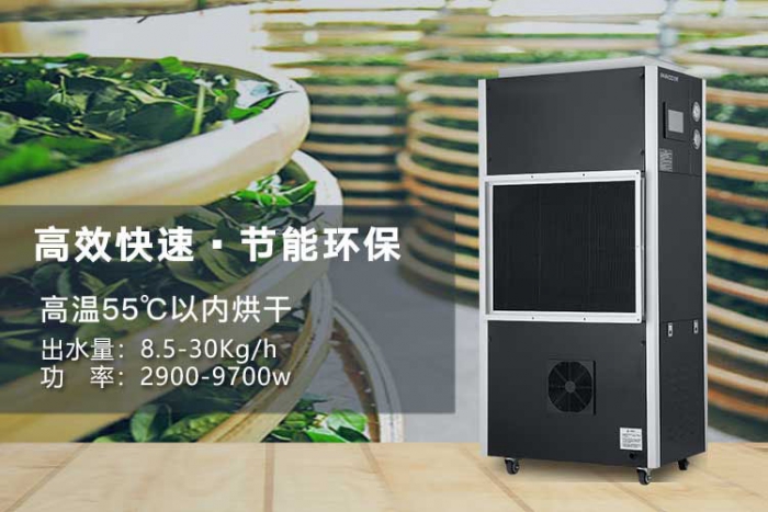 潮濕天氣來襲，螨蟲爆滿床！