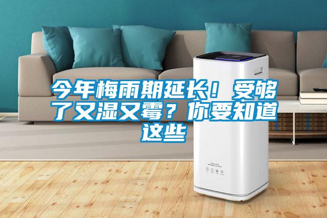 今年梅雨期延長(zhǎng)！受夠了又濕又霉？你要知道這些