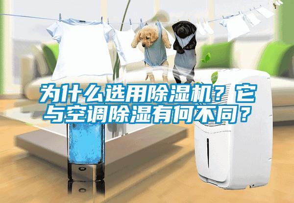為什么選用除濕機(jī)？它與空調(diào)除濕有何不同？