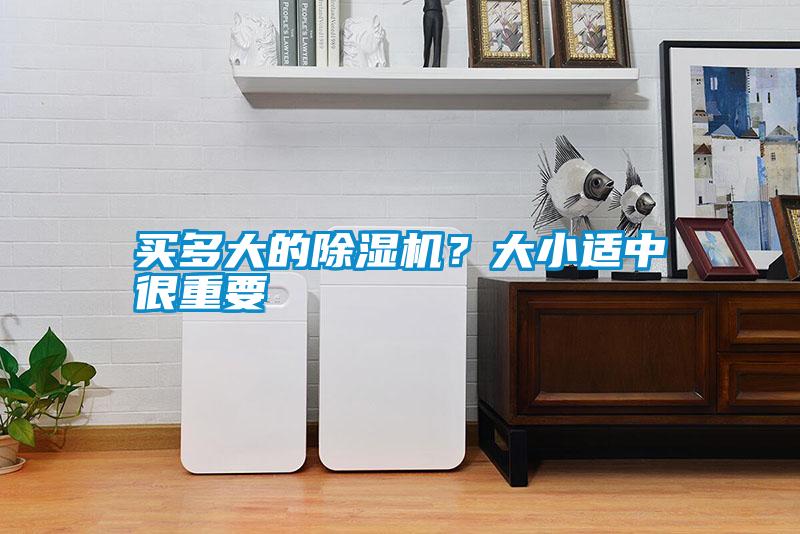 買多大的除濕機？大小適中很重要
