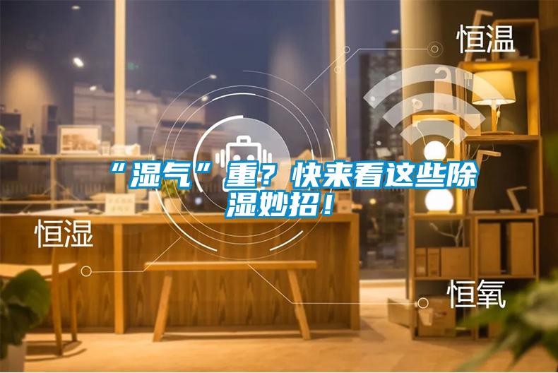 “濕氣”重？快來看這些除濕妙招！