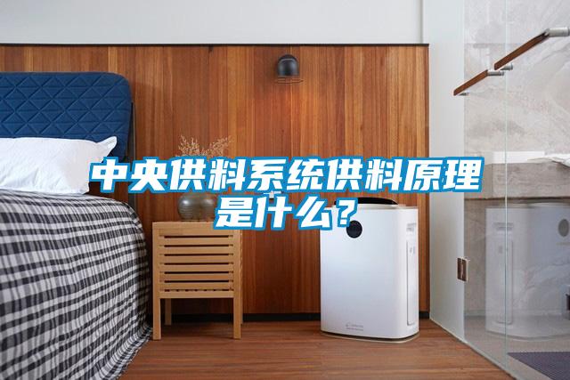 中央供料系統(tǒng)供料原理是什么？