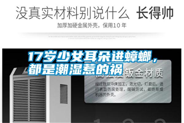 17歲少女耳朵進蟑螂，都是潮濕惹的禍