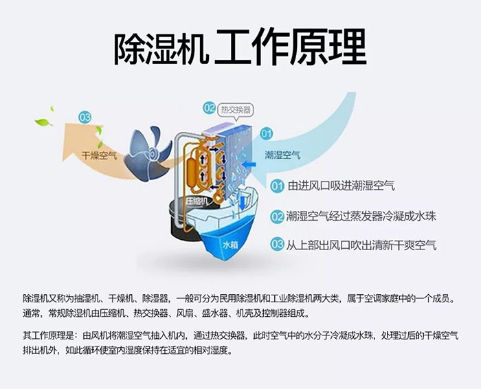 南方梅雨季到了房屋墻壁滲水、返潮怎么辦？