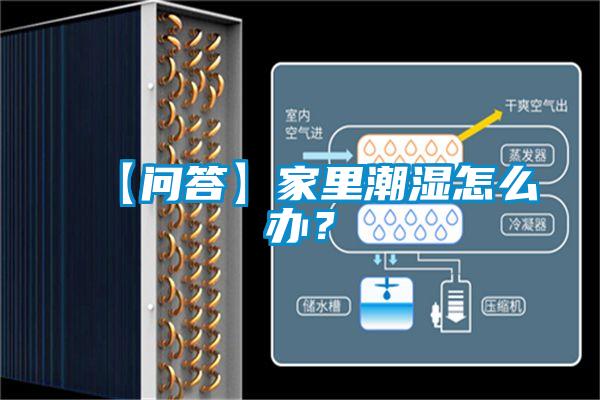 【問答】家里潮濕怎么辦？