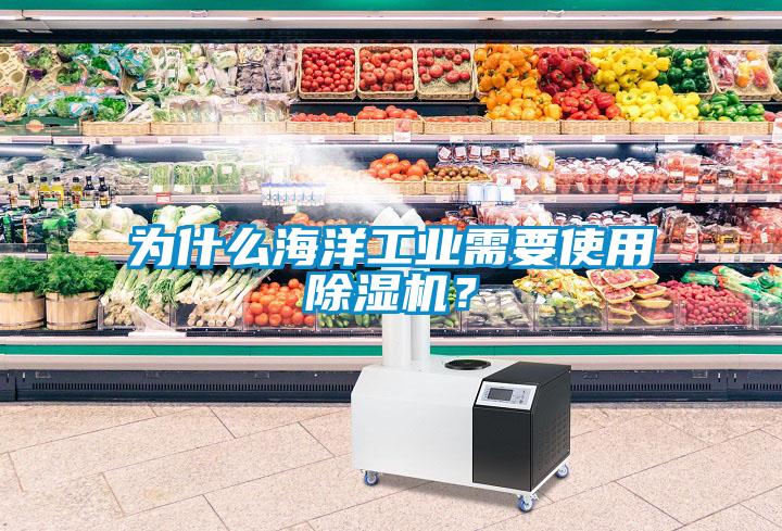 為什么海洋工業(yè)需要使用除濕機(jī)？