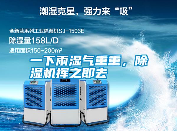 一下雨濕氣重重，除濕機(jī)揮之即去