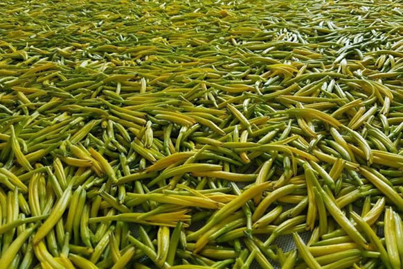 無(wú)硫金針菜烘干如何保持品相？不發(fā)黑？_除濕機(jī)廠家