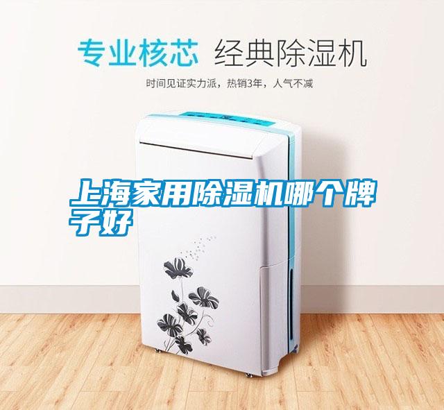 上海家用除濕機(jī)哪個牌子好
