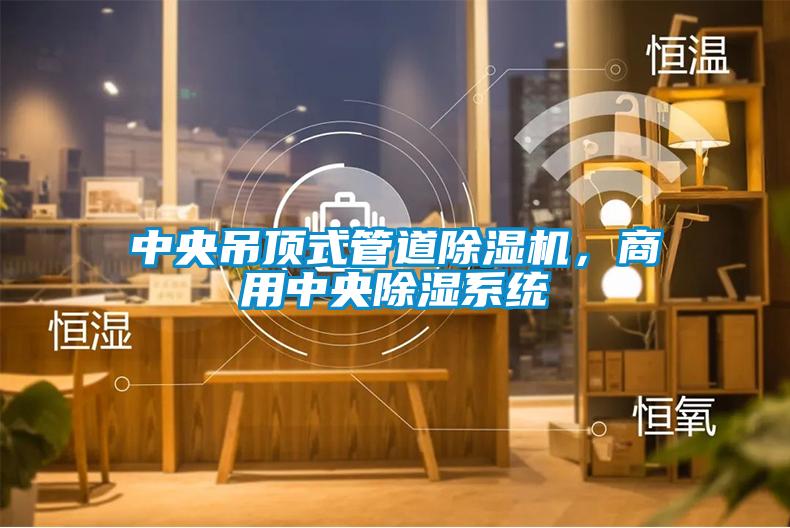 中央吊頂式管道除濕機，商用中央除濕系統(tǒng)