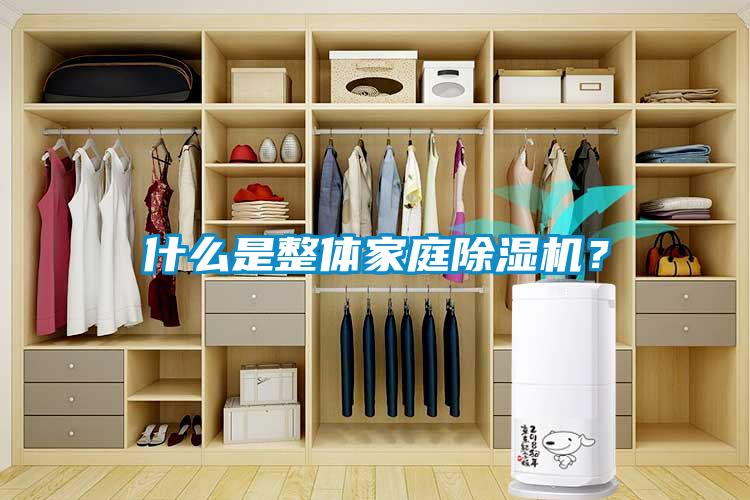 什么是整體家庭除濕機(jī)？