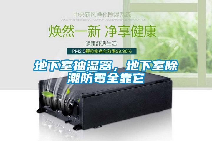 地下室抽濕器，地下室除潮防霉全靠它