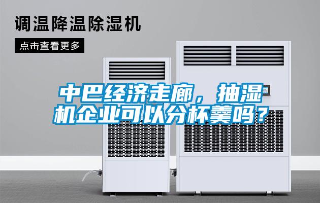 中巴經(jīng)濟走廊，抽濕機企業(yè)可以分杯羹嗎？