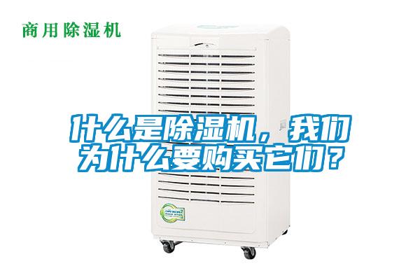 什么是除濕機(jī)，我們?yōu)槭裁匆徺I它們？