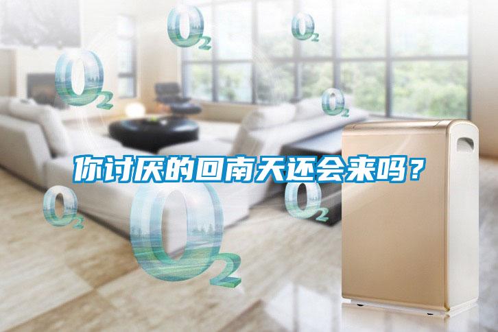 你討厭的回南天還會(huì)來(lái)嗎？