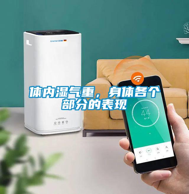 體內(nèi)濕氣重，身體各個部分的表現(xiàn)