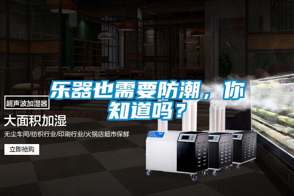 樂器也需要防潮，你知道嗎？