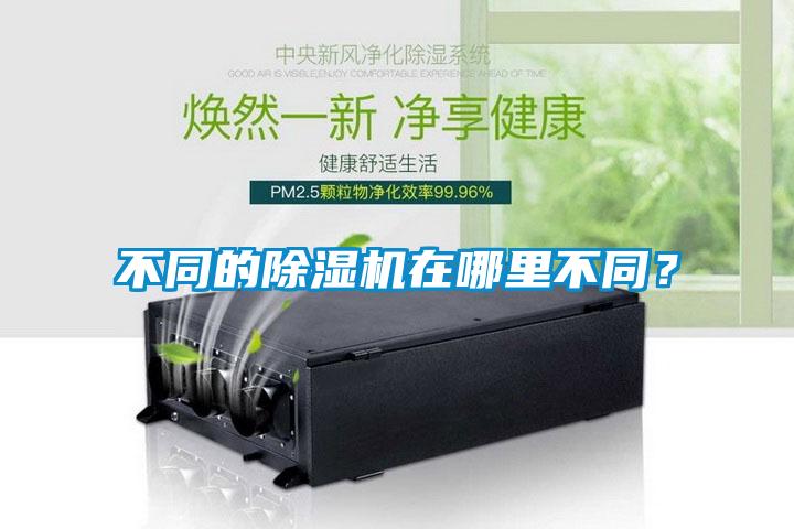 不同的除濕機在哪里不同？