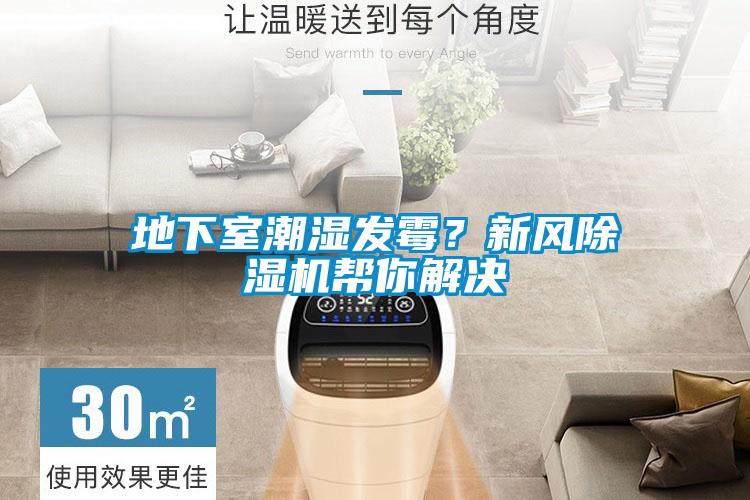 地下室潮濕發(fā)霉？新風(fēng)除濕機幫你解決