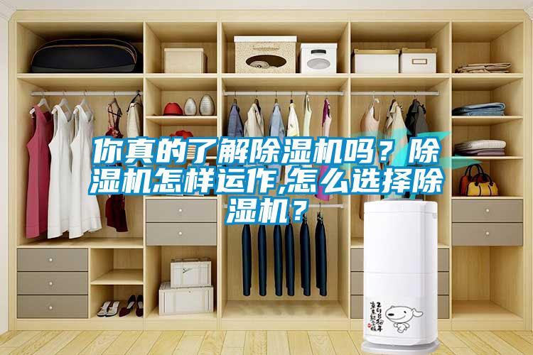 你真的了解除濕機嗎？除濕機怎樣運作,怎么選擇除濕機？