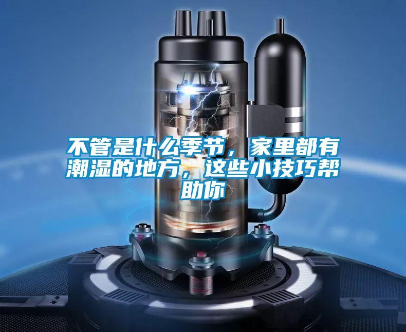 不管是什么季節(jié)，家里都有潮濕的地方，這些小技巧幫助你