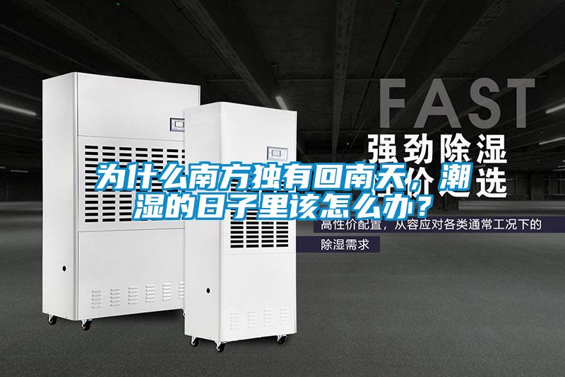 為什么南方獨(dú)有回南天，潮濕的日子里該怎么辦？