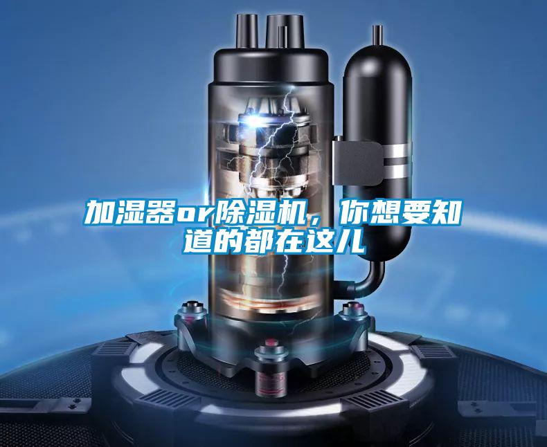 加濕器or除濕機，你想要知道的都在這兒