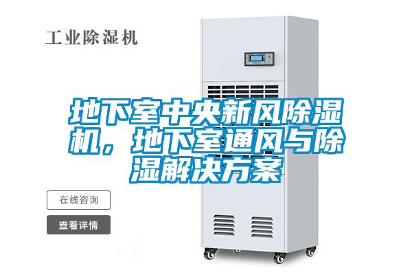 地下室中央新風(fēng)除濕機(jī)，地下室通風(fēng)與除濕解決方案